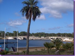 HPIM5370