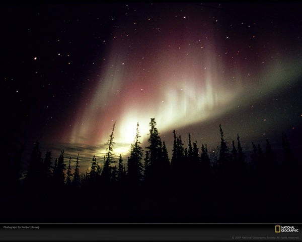 [evergreens-and-aurora-727719-xl[2].jpg]