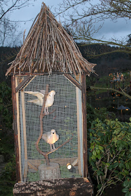Two Turtledoves