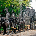 Funeral Horses at St Georges