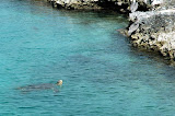 DSC_5898.jpg