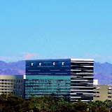 Hard Rock Hotel By: Lanie Crossman