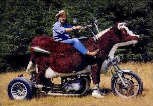Ini motorsikal atau lembu?