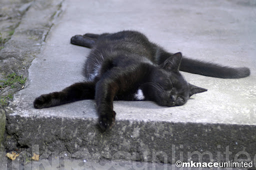 ©2010mknaceunlimited