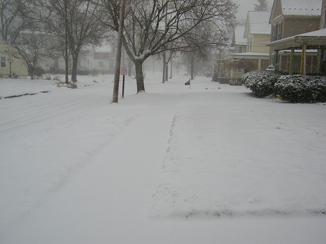 [snow on street[3].jpg]
