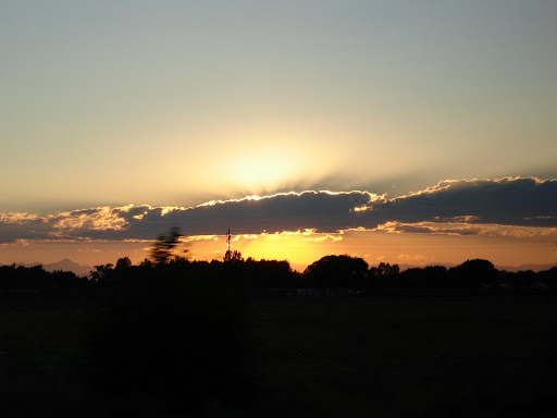 DSC01753.JPG