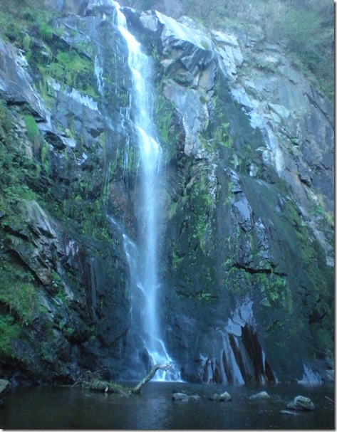fervenza de toxa