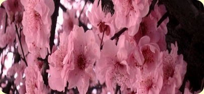 DSC02502