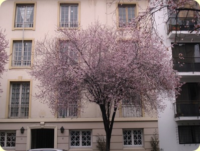 DSC05081