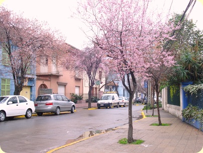 DSC05052