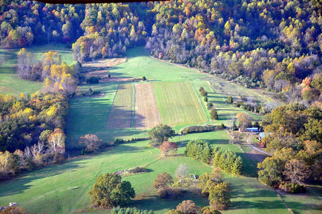 One of our fields from the air