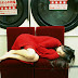 Toda Erika - Be Natural (39/130) (103)