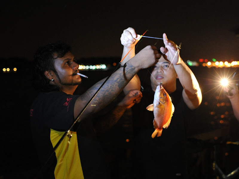 snapper