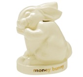 PIG-moneybunny