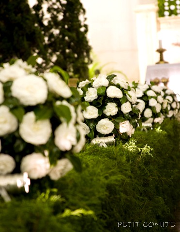 [IMG_99435.jpg]