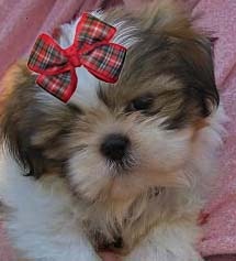 [bella[19].jpg]