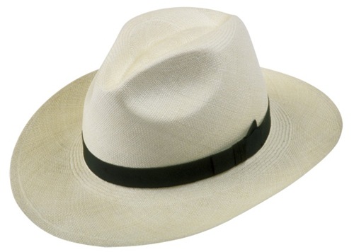 [panama-hat-610152058[4].jpg]