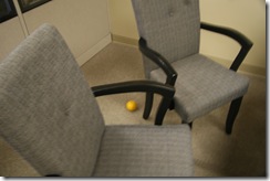 IMG_2798 IMG_2798