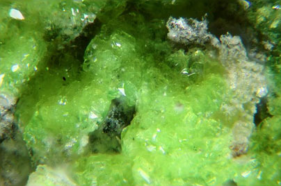 Andersonita-Andersonite