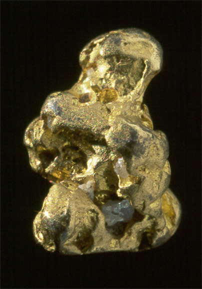 Oro-Gold