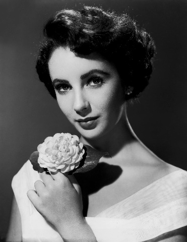 elizabehttaylor elizabehttaylor