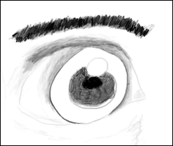 The bug-eyed eye