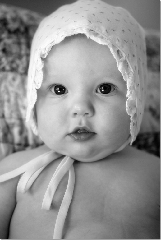 b&w bonnet b&w bonnet