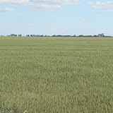 DSC02113.JPG