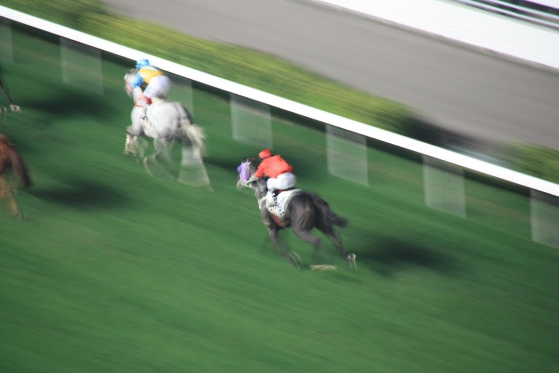 Day 98 Horse Race at Happy Valley