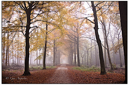 Fénykép Maria ter heide (10,6km)