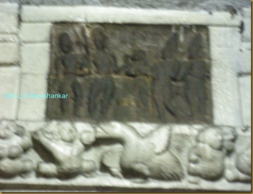 DSCN1755 DSCN1755