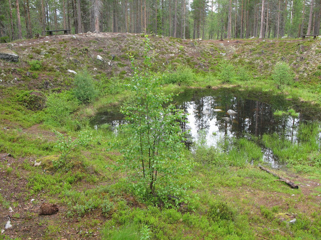 IMG_2054.JPG
