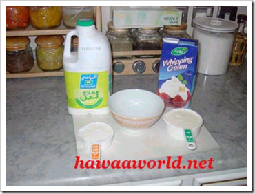 sour cream1 sour cream1