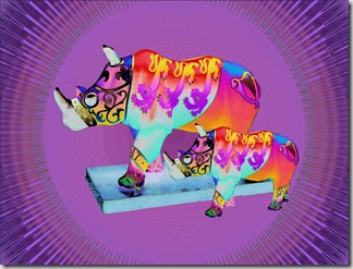 rhino1