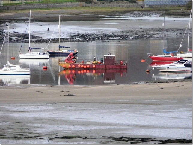 estuary 007