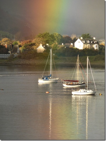 estuary 036