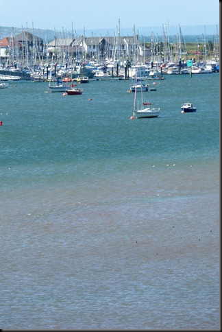 estuary 046