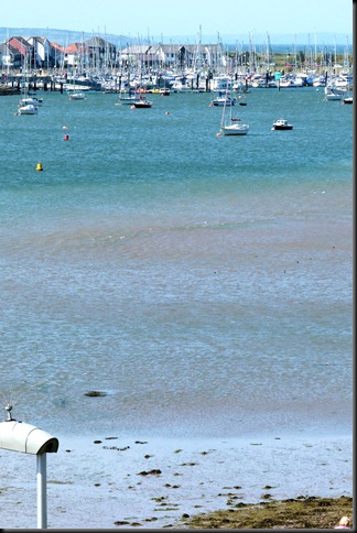 estuary 044