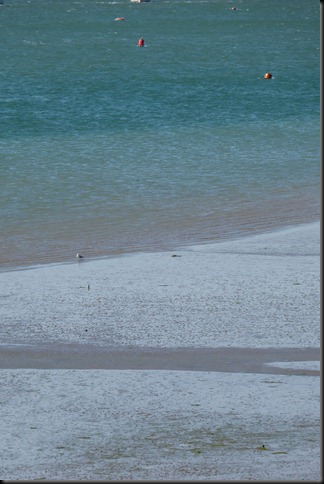 estuary 011