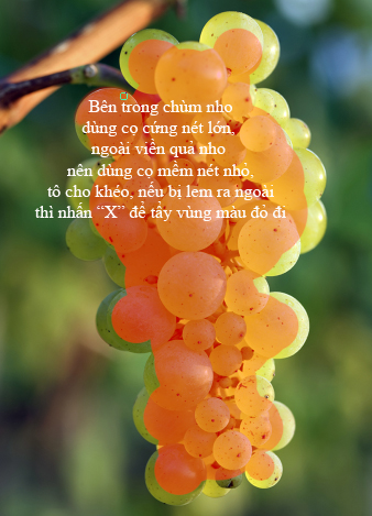 aohaiday.com - Photoshop - c&aacute;c phương ph&aacute;p