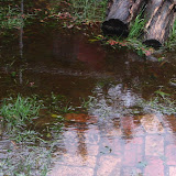 Port Elizabeth meldet: Land unter!