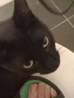 20090618045725.jpg