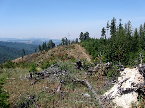 top of unnamed mnt east of NF-292 rd, idaho
