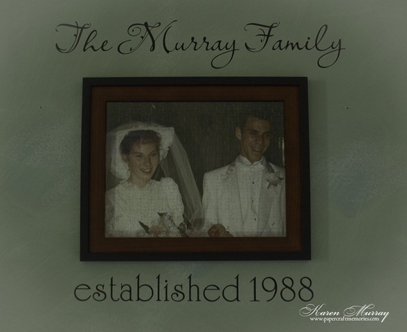 [Murray family vinyl[4].jpg]
