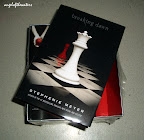  twilight book