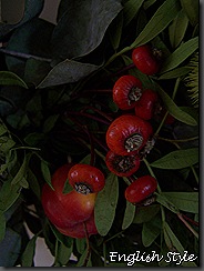 100_8734
