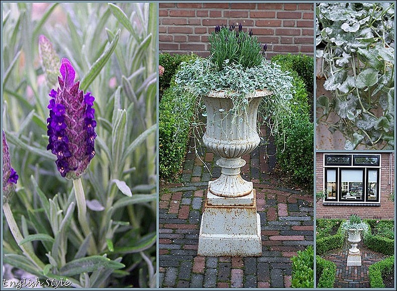 Blogfoto's 811