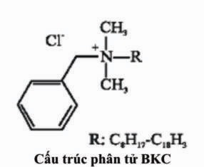 [CautrucptuBKC(1)[3].jpg]