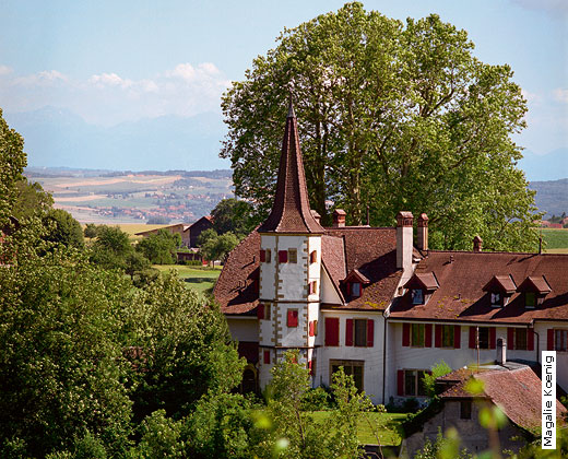 Domaine du Manoir - Nord vaudois
