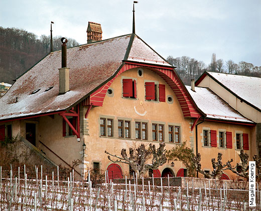Domaine de Autecour - Mont-sur-Rolle